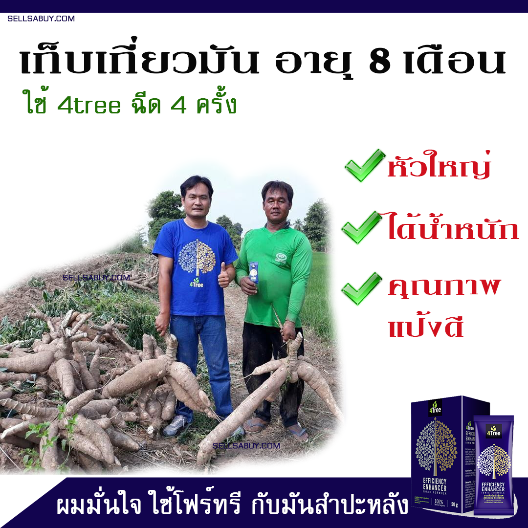 ทำนาได้ข้าวดี