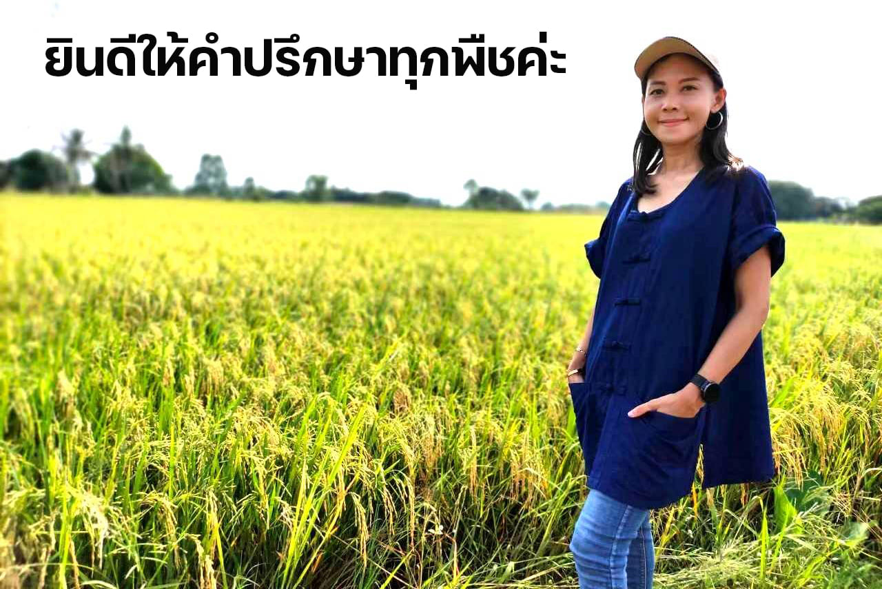 32671-1 (1) ตัวแทนจำหน่ายไคโตซาน