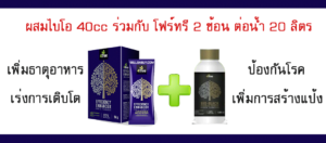 วิธีใช้โฟร์ทรีกับมันสำปะหลัง
