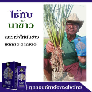 สูตร-เร่ง-ข้าว-ให้-แตก-กอ