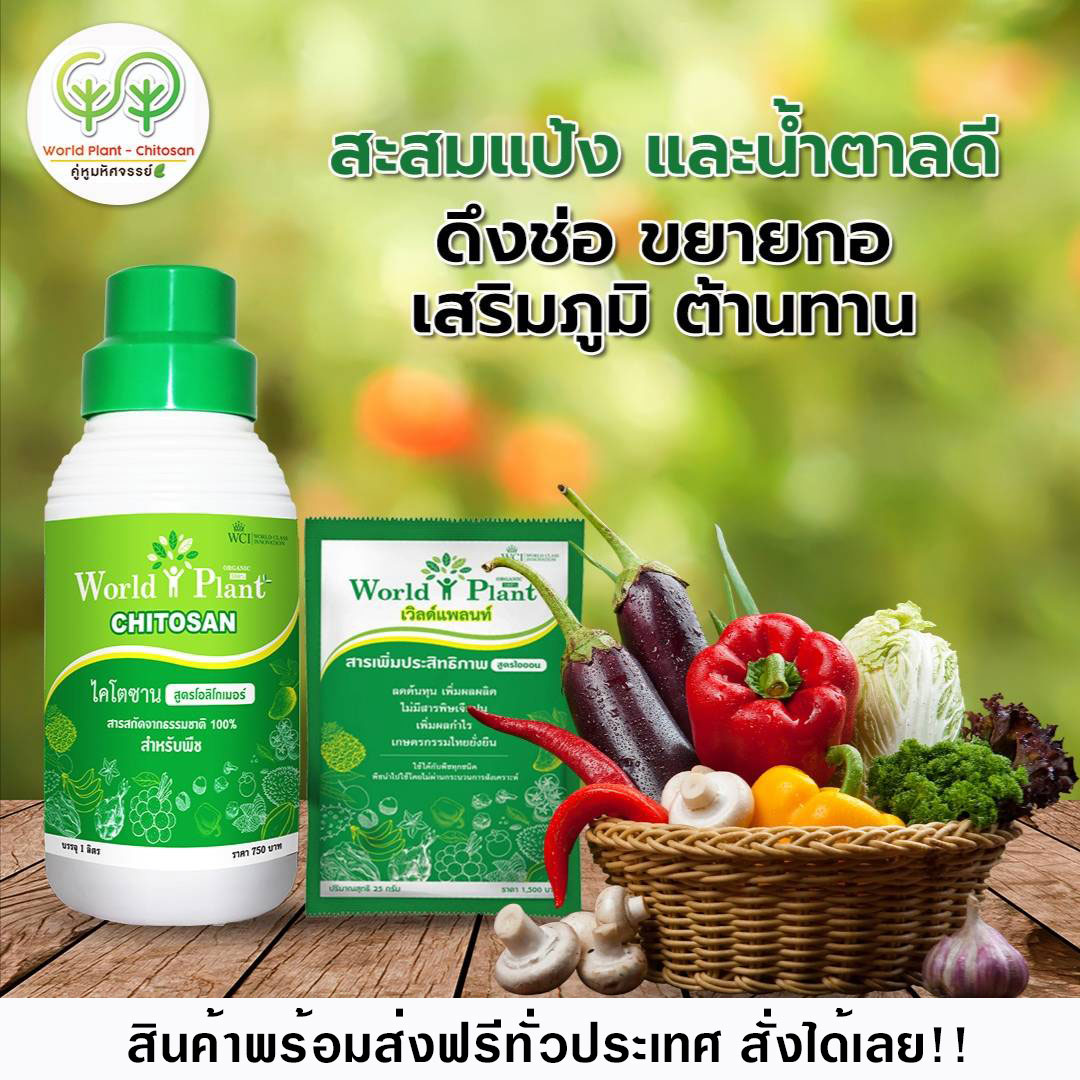plant-world-รีวิว1